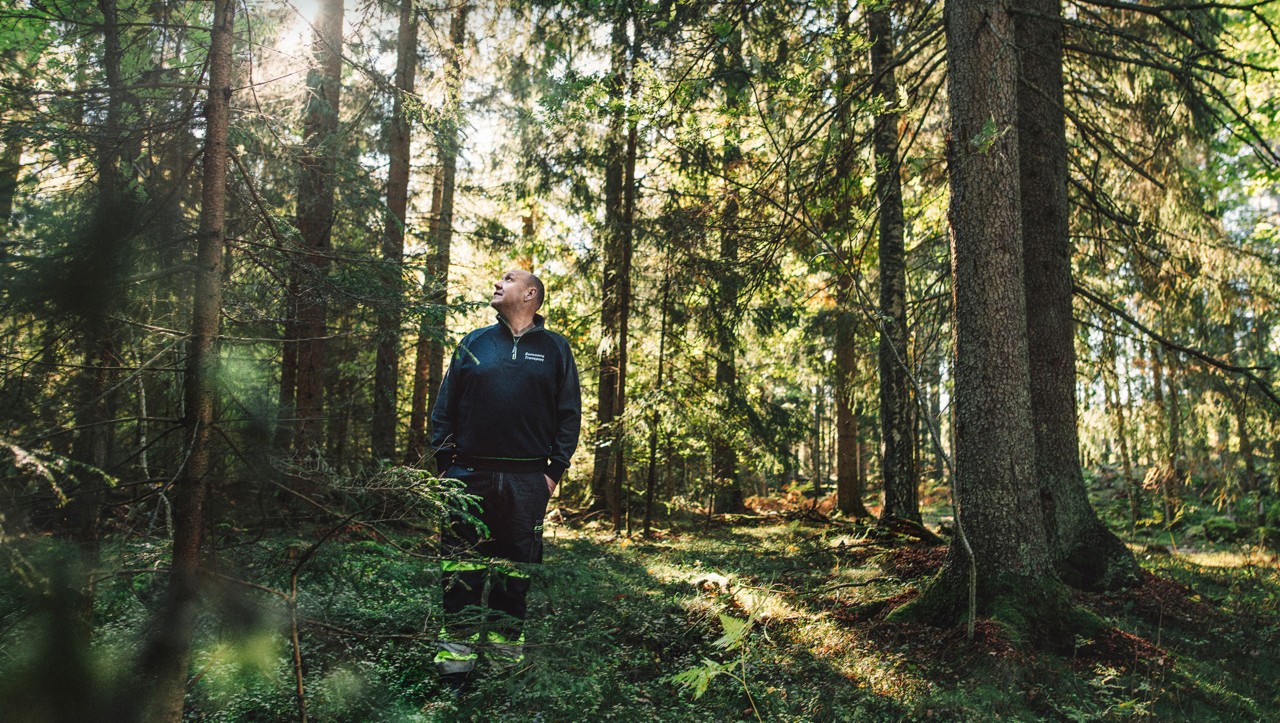 Bert Johansson in het bos